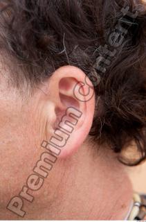 Ear texture of street references 441 0001